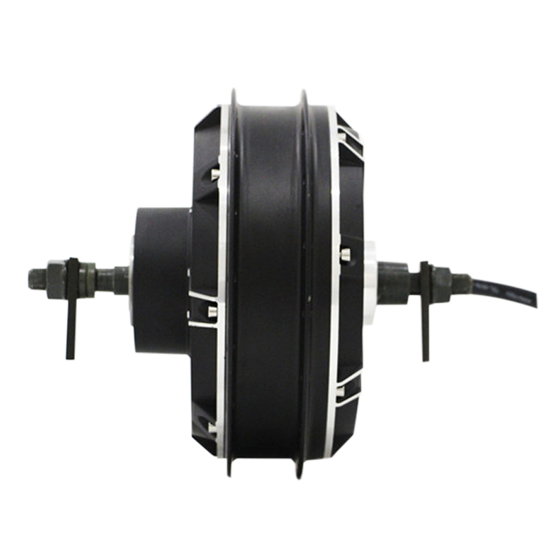 QS Motor QS205 spoke hub-motor